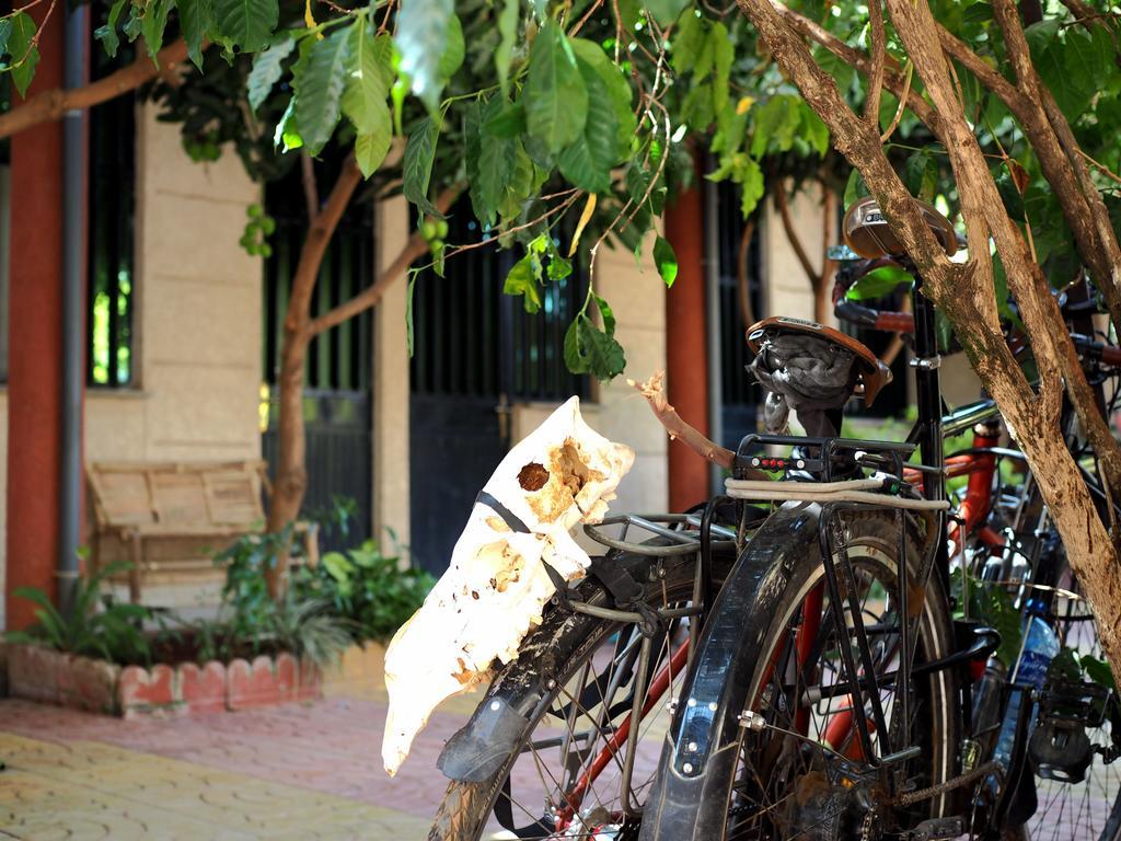 Manuhie Backpackers Lodge Bahir Dar Bilik gambar