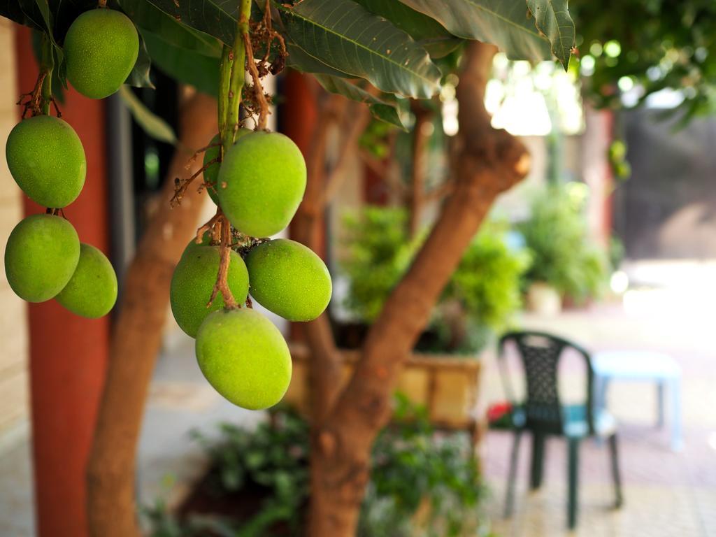 Manuhie Backpackers Lodge Bahir Dar Bilik gambar